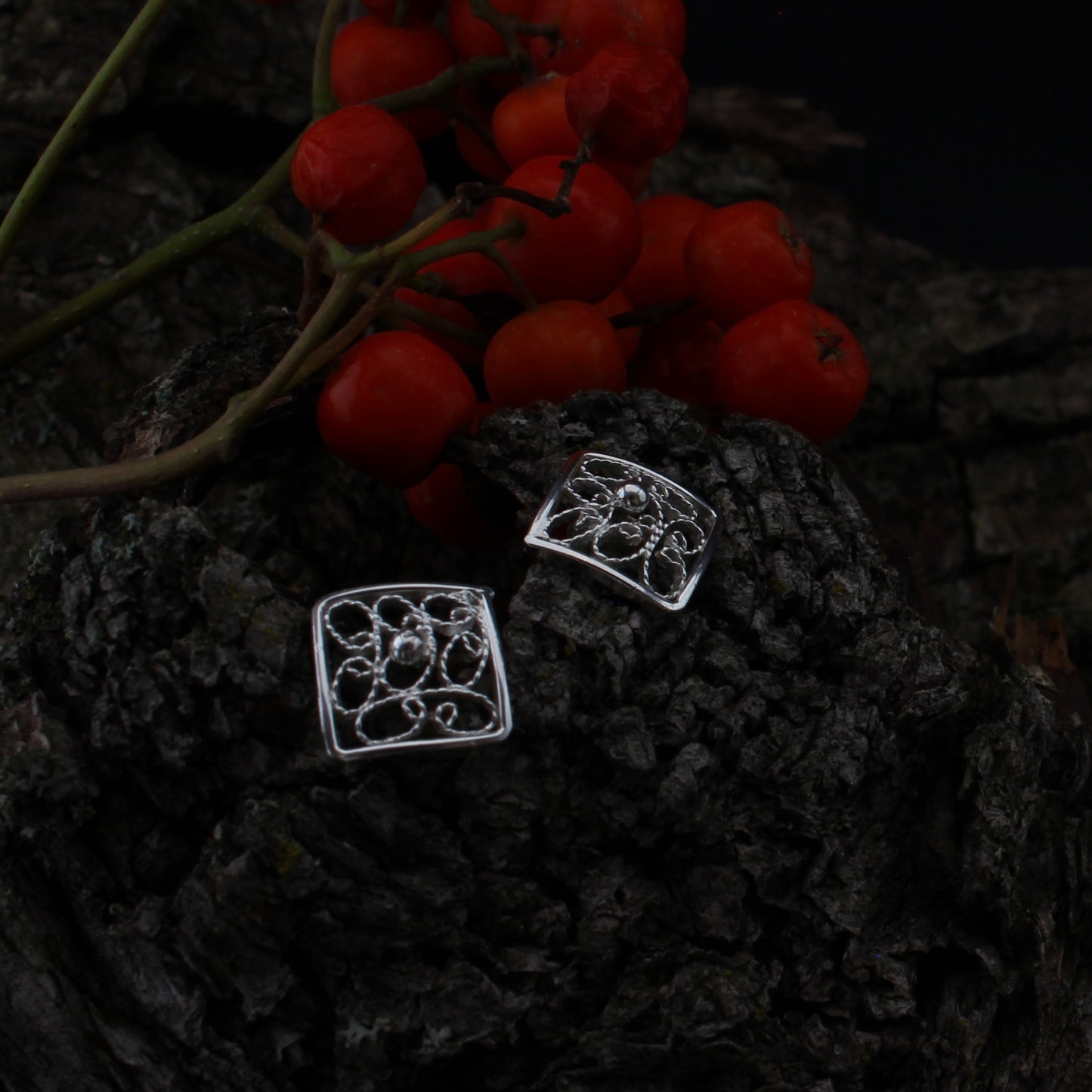 silver stud earrings front