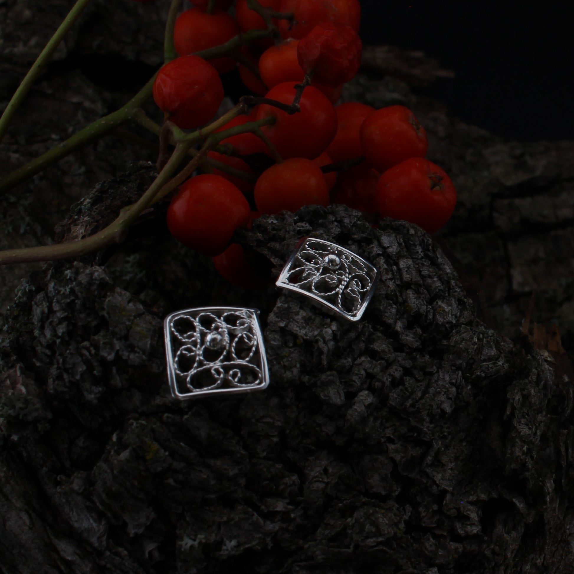 silver stud earrings front